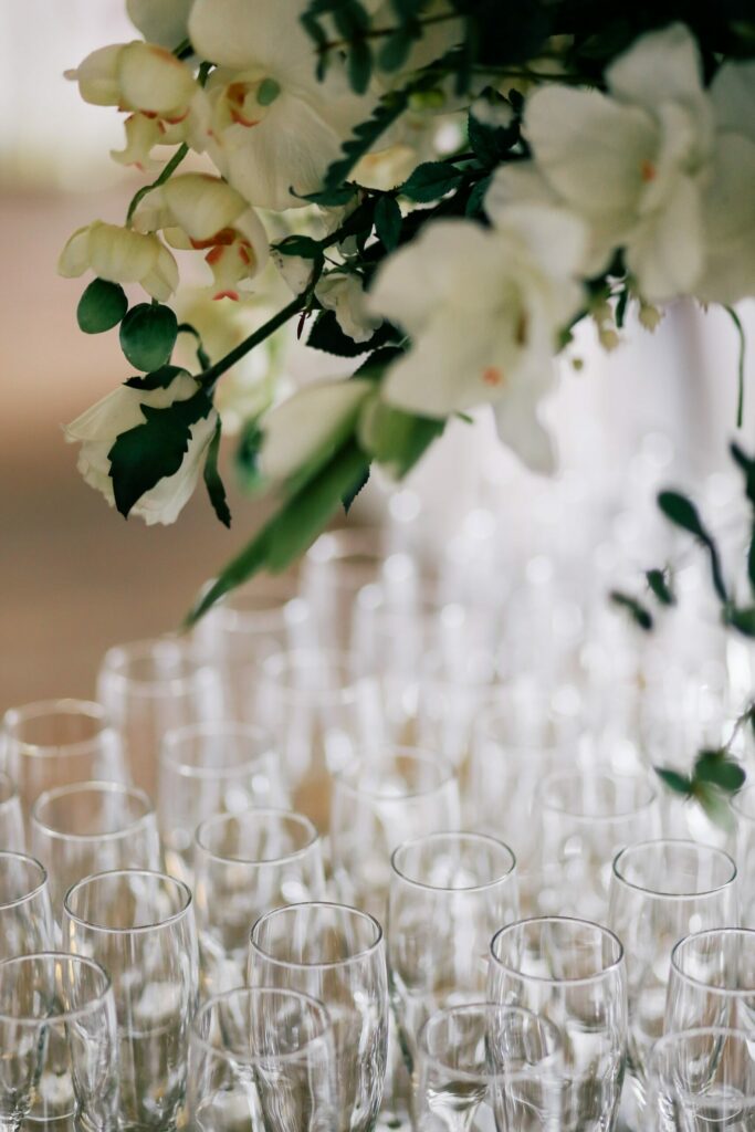 sektempfang-hochzeitsplaner-dresden-scaled